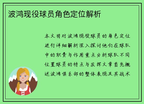 波鸿现役球员角色定位解析
